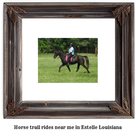 horse trail rides near me in Estelle, Louisiana